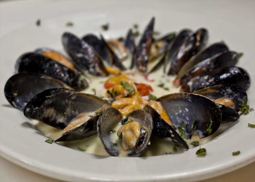 IMG_1808_8438Photography