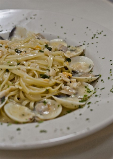 IMG_1821_8451Photography