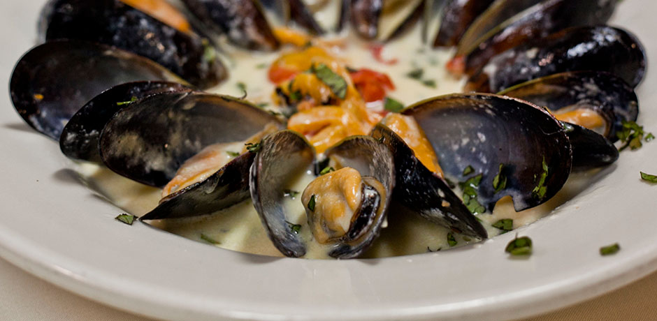 IMG_1808_8438Photography